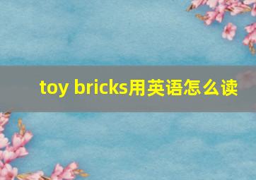 toy bricks用英语怎么读